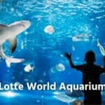 Lotte World Aquarium Admission Ticket