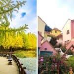 Nami Island & Petite France Day Tour from Seoul