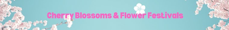 Cherry blossoms and flower festivals page banner