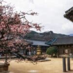 Tongdosa Temple Day Tour from Busan