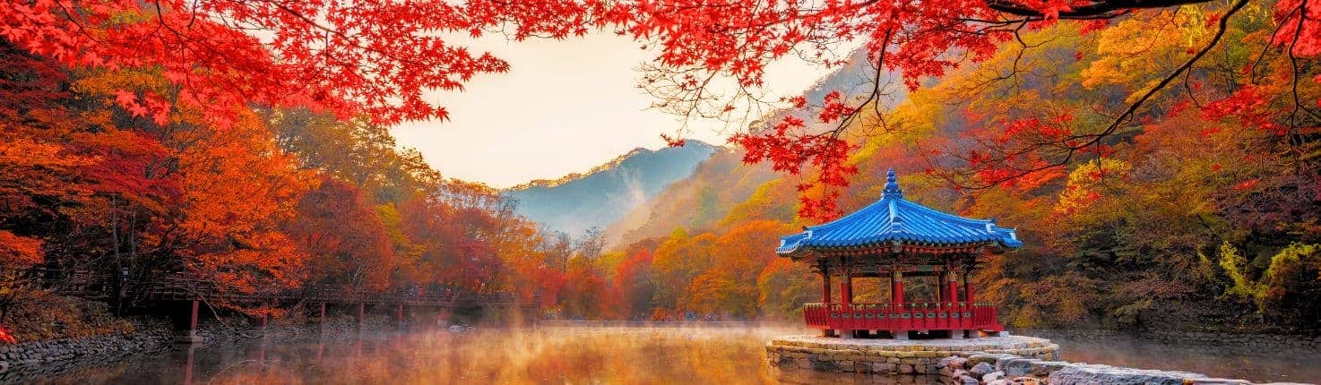 Autumn Foliage Places & Festivals in Korea