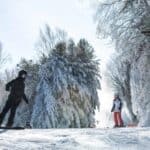 Jisan Forest Winter Ski Day Tour from Seoul