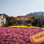 Seoul Land Theme Park Ticket