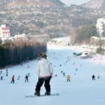 Yongpyong One Day Ski Tour from Seoul