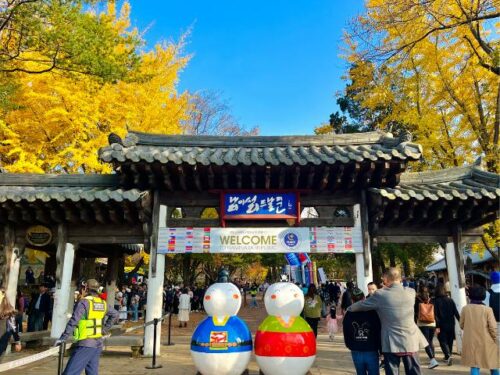 Nami Island 남이섬: Unique Things To Do - IVisitKorea