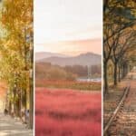 Nari Park, Nami Island & Gangchon Rail Bike Day Tour