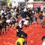 Hwacheon Tomato Festival One-Day Tour from Seoul