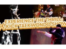 K-Kick Taekwondo Show Ticket