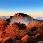 Jiri Mountain Autumn Foliage Day Tours from Busan