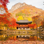 Naejangsan National Park Autumn Day Tours From Seoul